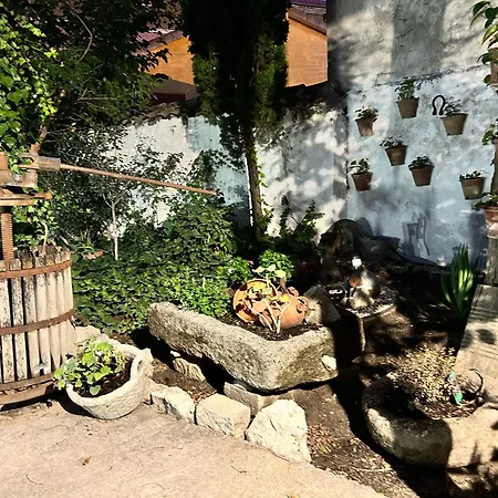 Casa de Férias La Cija Olmedo